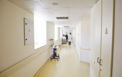 Μικρογραφία